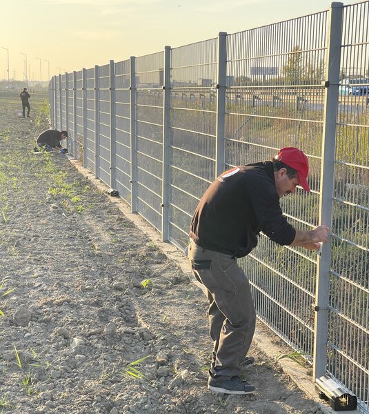 Operator DDD Prestari servicii deratizare dezinsectie Relocare pt Bucuresti